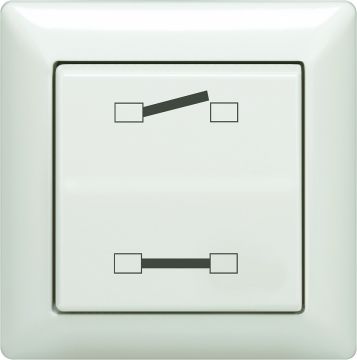 Commutateur Jung 506 U